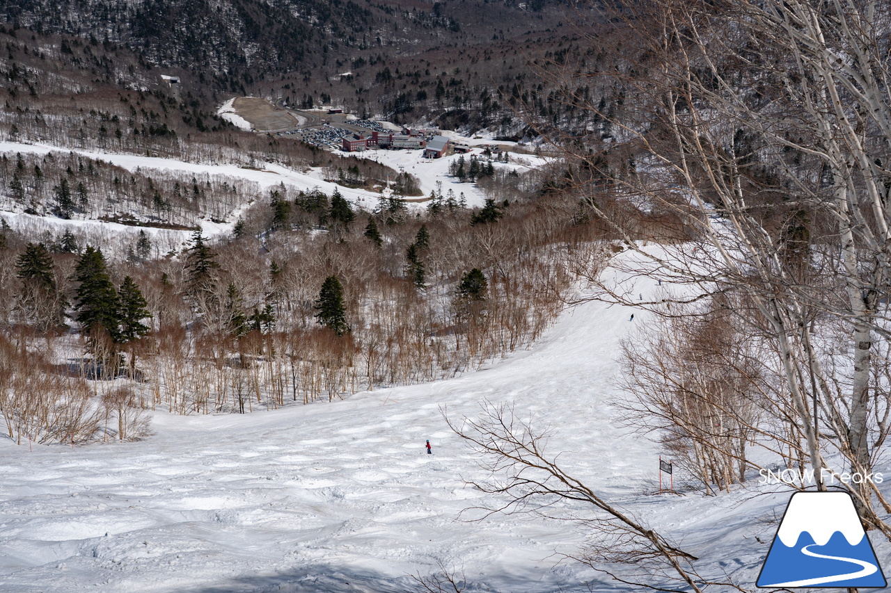 札幌国際スキー場｜ゴールデンウイーク初日も全コース滑走可能OK！！真っ白な雪と澄んだ青空 ＝ 絶好の春スキー＆スノーボード日和♪そして、日本海の彼方に、なんと利尻富士が見えた？！